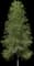 Tuliptree — design image 3