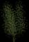 Purple Willow — design image 4