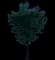 Japanese Zelkova Trees — design image 6