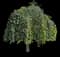Mulberry — design image 1