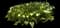 Garden Tulips — design image 15