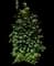 Hops — design image 2