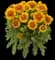 Peach Blanket Flower — design image 1
