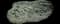 Grey Santolina Lavender-Cotton — design image 1