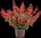 Unplugged Red Sage — design image 3