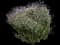 French Lavender — design image 2