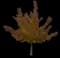 Silver Maple Tree — design image 15