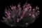 Crimson Whirling Butterflies — design image 1