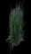 Feather Reed Grass — design image 22