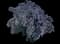 Beauty Bush Shrub — design image 1