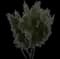 Olive Tree — design image 7