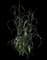 Pearl Millet — design image 5