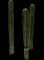 Mexican Fence Post Cactus — design image 2