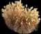Maiden Grass — design image 4