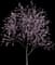 Peach Tree — design image 7