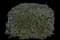 Tuscan Rosemary — design image 4