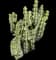 Mottled spurge — design image 1