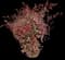 Nandina — design image 5