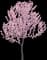 Japanese Flowering Kwanzan Cherry Tree — design image 2