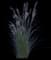 Morning Light Maiden Grass — design image 1