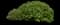 Red Twig Dogwood Shrub — design image 2