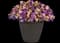 MixMasters™ Pretty Pastels — design image 2