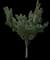 Trumpet Vine Plant — design image 2