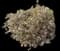 Bloody Crane's-bill — design image 8