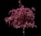 Crabapple Tree — design image 15