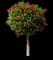 Tropical Hibiscus Tree — design image 4