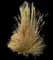 Karl Foerster Grass — design image 11