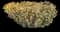 Common Yarrow — design image 5