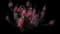 Orchid Pink Angelonia — design image 1