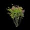 Tinkerbelle Lilac — design image 1
