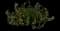 Fan Flower (Scaevola) — design image 6