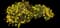 Crown daisy — design image 3