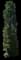 Indian Laurel Fig Column — design image 1