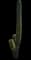 Golden Torch Cactus — design image 4