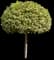Sky Flower — design image 7