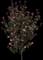 Pink Hibiscus — design image 1