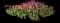 Garden Tulips — design image 12