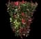 Chinese Photinia — design image 8