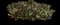 Oyster Plant — design image 5