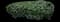 Pittosporum Mojo® — design image 4