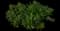 Ocean Sunset™ Violet Ice Plant — design image 1