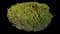 Creeping Juniper — design image 5