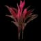 'Red Sister' Cabbage Palm — design image 13