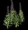 Persian fritillary — design image 1