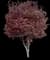 Japanese Maple Tree — design image 5