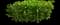 Autograph tree — design image 6